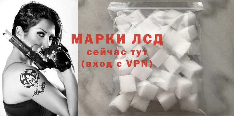 блэк спрут   Новоузенск  Лсд 25 экстази ecstasy 